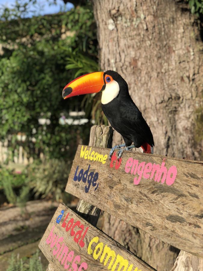 Comuna Do Ibitipoca - Engenho リマ・ドゥアルテ エクステリア 写真